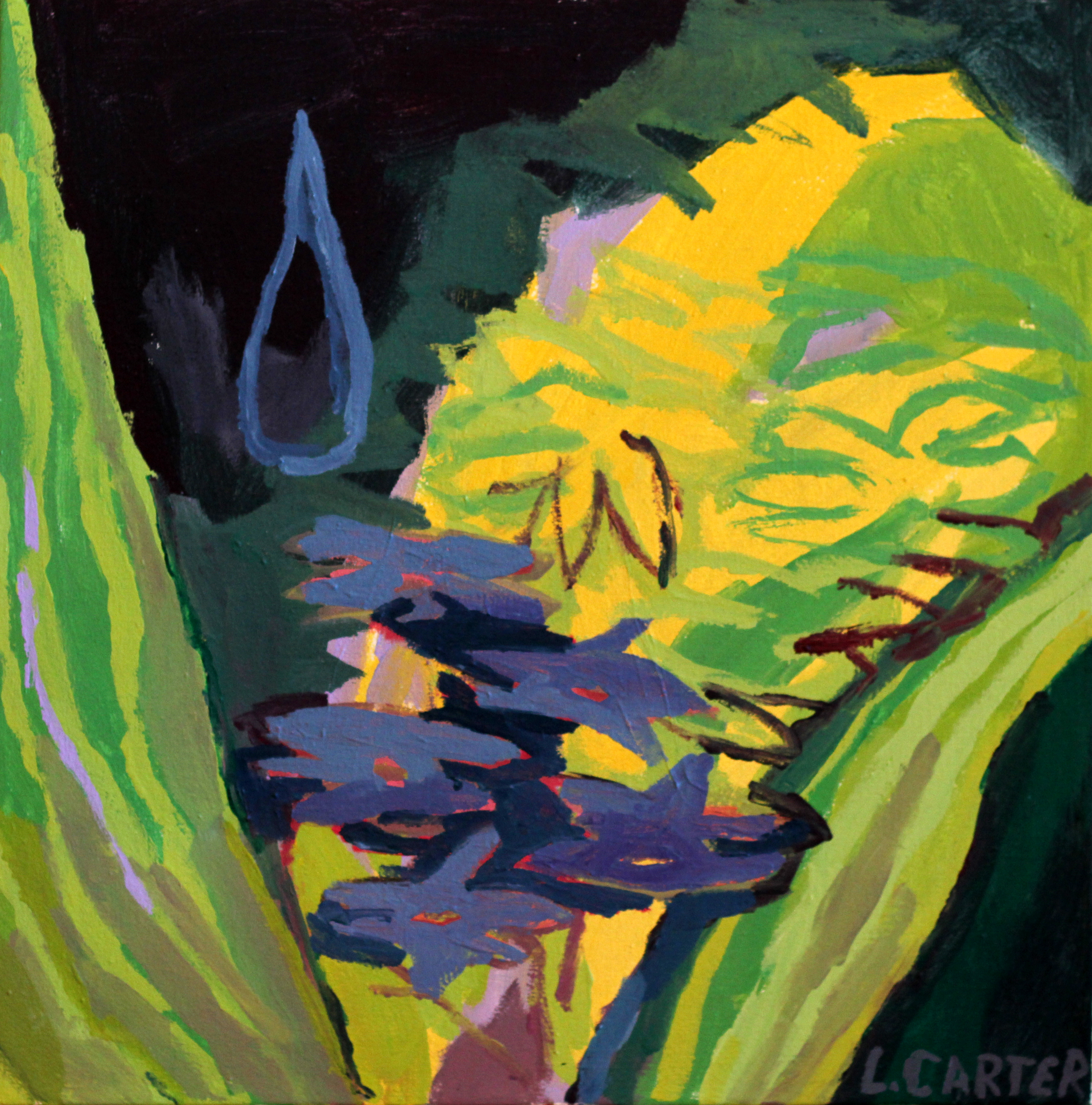 Apollo's tear falls on Hyacinth